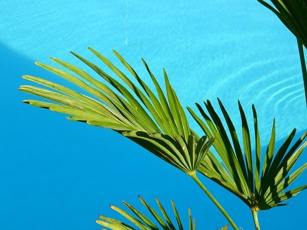 Comment planifier la construction d’une piscine écologique ?