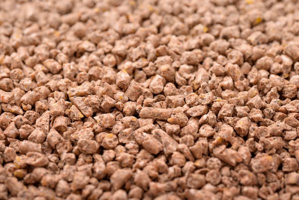 Optez pour une presse à pellet et économisez de l’énergie