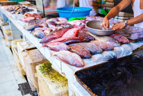 Comment reconnaître un poisson mangeable?